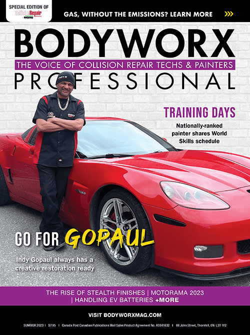 Bodyworx Professional Bodyworx Professional 10#2