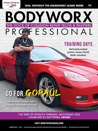Bodyworx Professional Bodyworx Professional 10#2