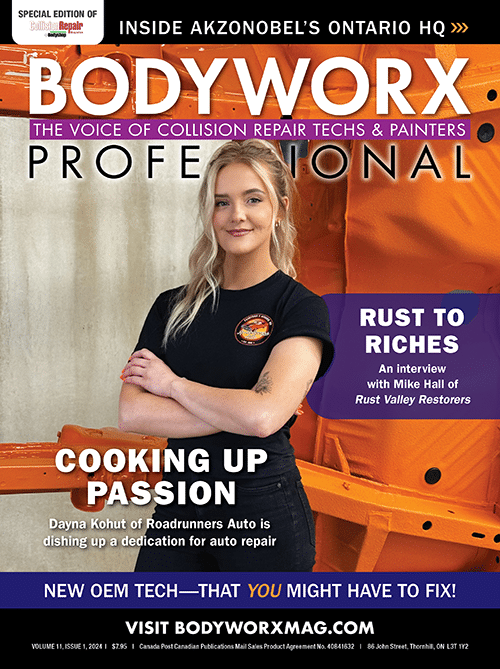 Bodyworx Professional 11#1