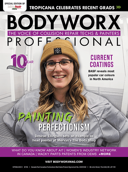 Bodyworx Professional Bodyworx Professional 10#1