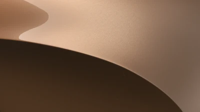 Soft curved abstract shapes in warm beige and brown tones