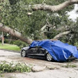 Blue car crushed by large fallen tree branch on residential street after storm