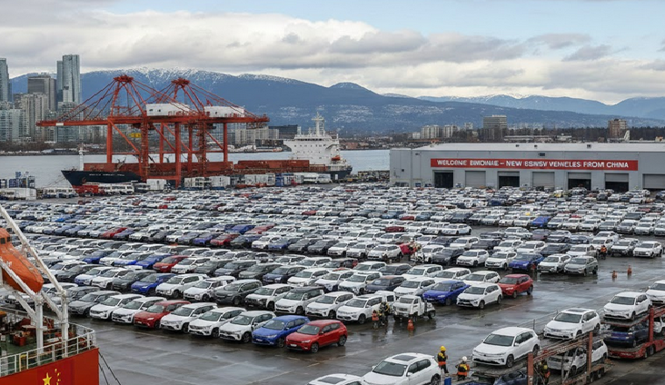 Cargo port with rows of new vehicles, shipping cranes, and mountains in background