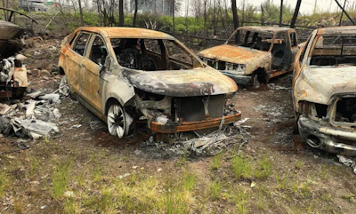 Charred and destroyed vehicles in a forest clearing, showing extensive fire damage