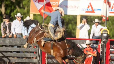 Rodeo cowboy riding a bucking brown horse during competition with spectators and sponsor signage in background