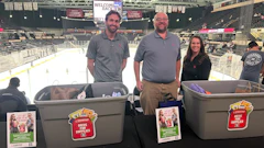 Rebels Game