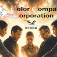 Color Compass Corporation team of five professionals standing together under golden sky, part of Junco Group
