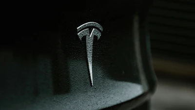 Tesla T emblem mounted on vehicle door with metallic finish and frost-like texture
